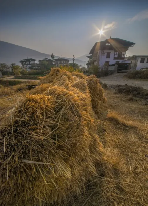 Framed Print : A dawn sky lights up the Punakha valley in Bhutan Framed Print : A dawn sky lights up the Punakha valley in Bhutan