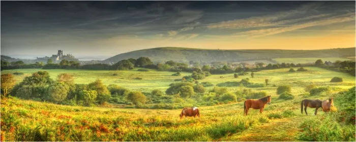 Framed Print : A dawn view of Corfe Castle, Isle of Purbeck, Dorset, England, United kingdom