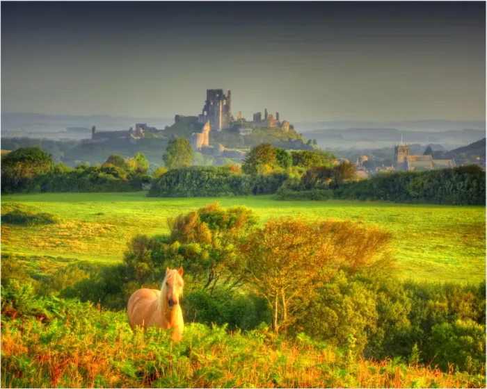 Framed Print : A dawn view of Corfe Castle, Isle of Purbeck, Dorset, England, United kingdom Framed Print : A dawn view of Corfe Castle, Isle of Purbeck, Dorset, England, United kingdom