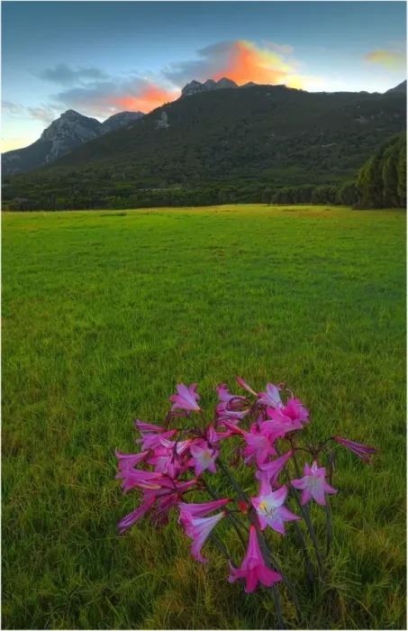 Framed Print : A dawn view towards Mount Strzelecki, Flinders Island, Bass Strait, Tasmania, Australia Framed Print : A dawn view towards Mount Strzelecki, Flinders Island, Bass Strait, Tasmania, Australia