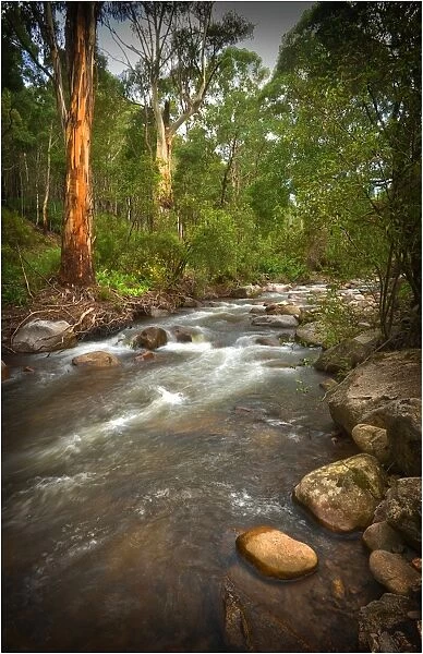 The Delatite river in the high country of the Victorian Alps
