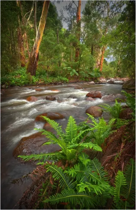 Framed Print : The Delatite river in the high country of the Victorian Alps