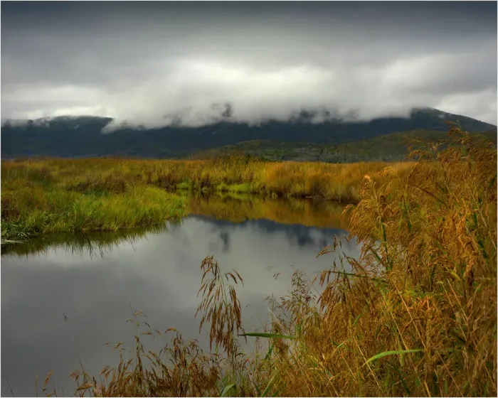 Framed Print : Derby river reflections, after rainfall, Wilsons Promontory national park, Victoria Framed Print : Derby river reflections, after rainfall, Wilsons Promontory national park, Victoria