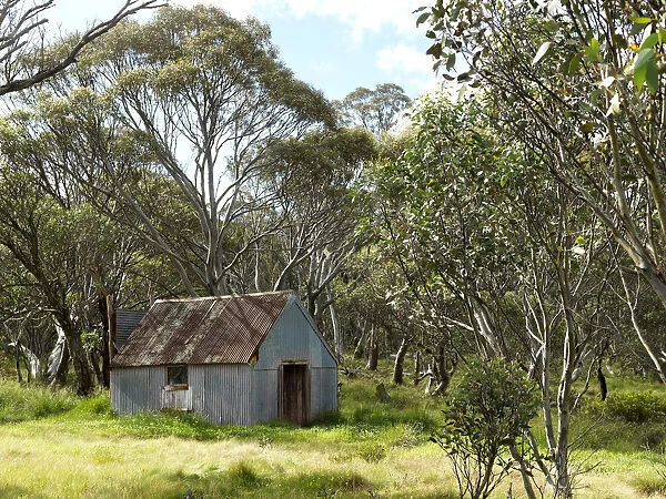 derelict house in rural Australia
