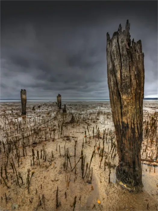 Framed Print : The derelict Queensferry jetty, Western-port bay, Victoria, Australia
