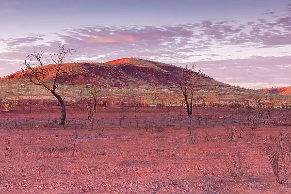 Desert arid landscape in Western Australia