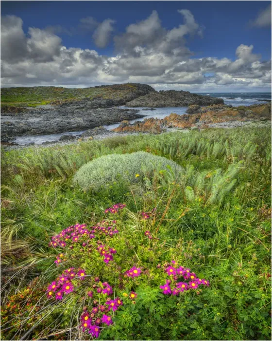 Framed Print : Devils Gap, a treacherous rocky coastline and reef near the Entrance to Currie Harbour on King Island Tasmania Framed Print : Devils Gap, a treacherous rocky coastline and reef near the Entrance to Currie Harbour on King Island Tasmania