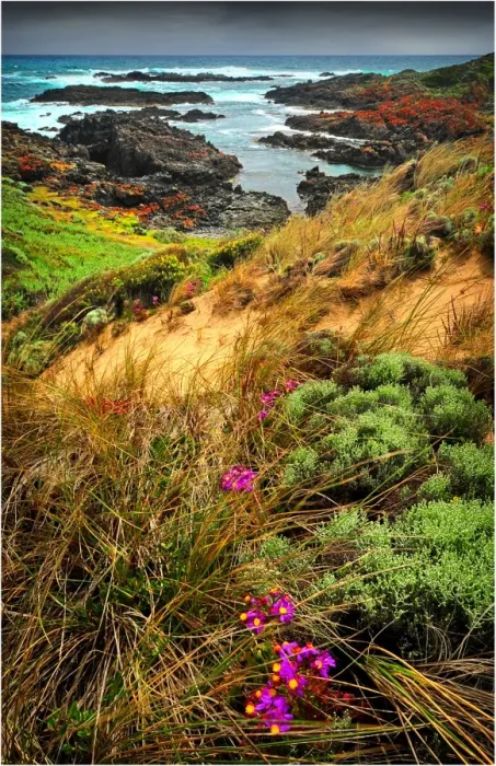 Framed Print : Devils Gap, a treacherous rocky coastline and reef near the Entrance to Currie Harbour on King Island Tasmania