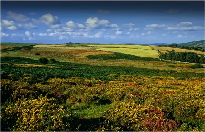 Framed Print : The Devon moors, England Framed Print : The Devon moors, England