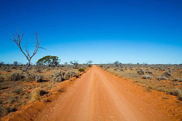 Dirt outback road in Coober Pedy
