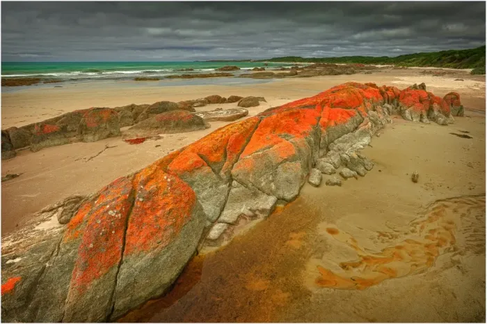 Framed Print : Disappointment Bay on the northern end of King Island, bass Strait, Tasmania