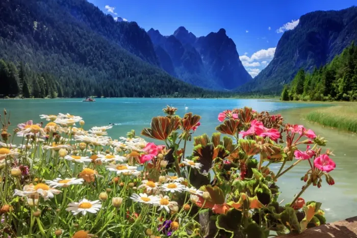 Framed Print : Dobbiaco lake, Dolomites