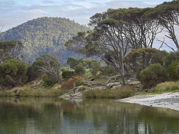 Douglas River Estuary in Eastern Tasmania