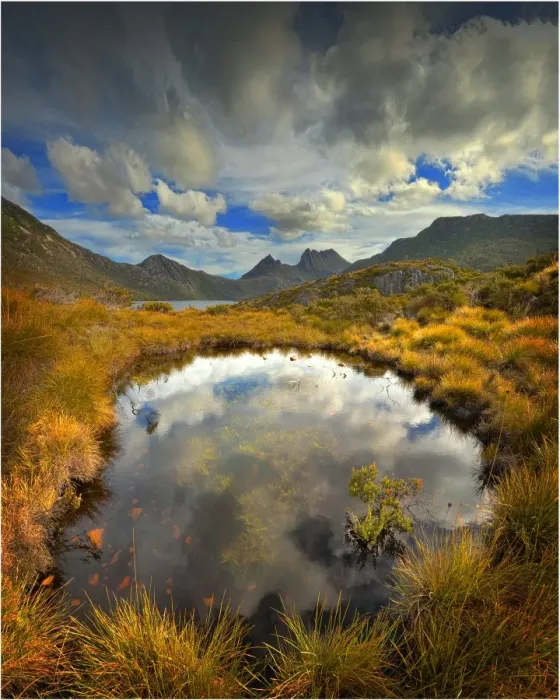 Framed Print : Dove lake, Cradle Mountain National Park, central Tasmanian highlands Framed Print : Dove lake, Cradle Mountain National Park, central Tasmanian highlands