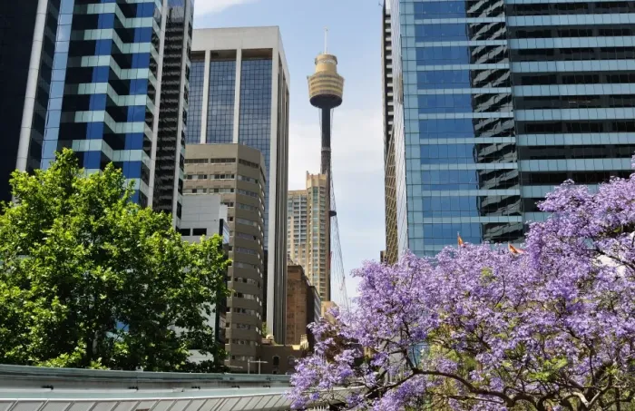 Framed Print : Downtown Sydney