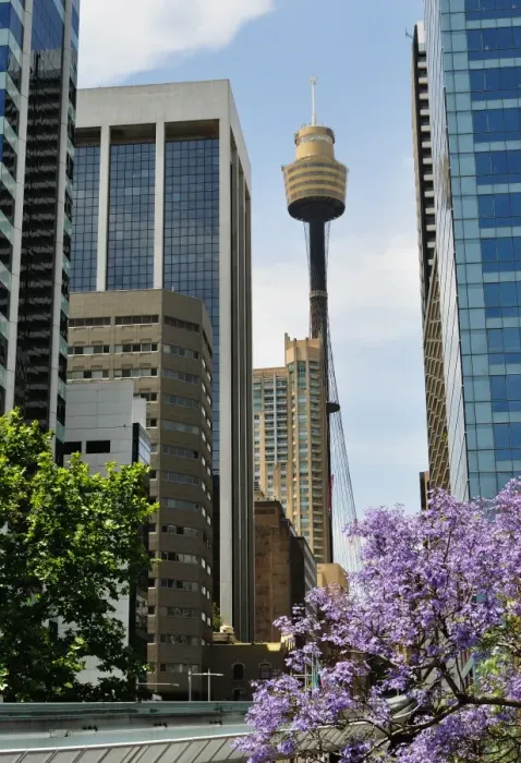 Framed Print : Downtown Sydney Framed Print : Downtown Sydney