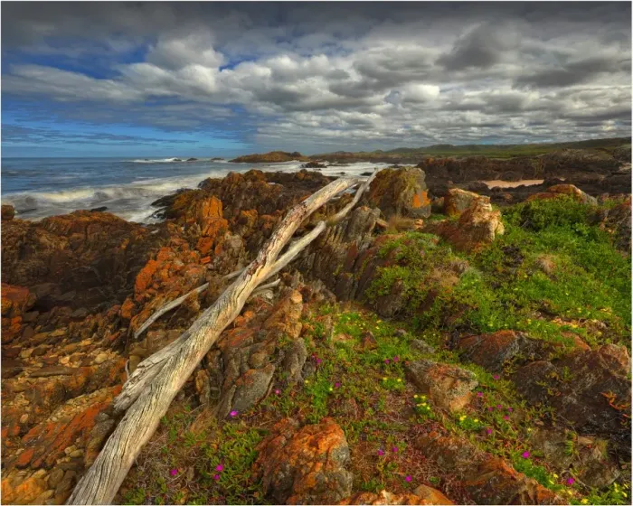 Framed Print : Driftwood lying across boulders on the Tarkine coastline, Western Tasmania Framed Print : Driftwood lying across boulders on the Tarkine coastline, Western Tasmania