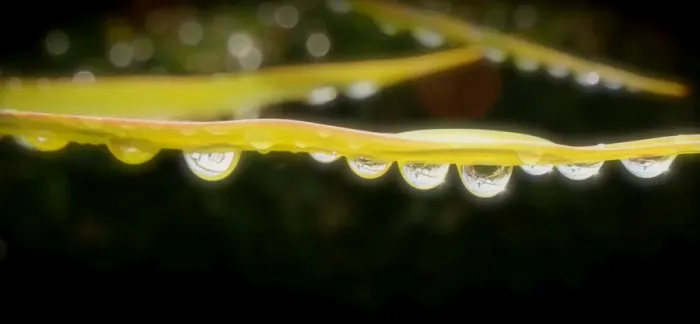 Framed Print : Drip, drip