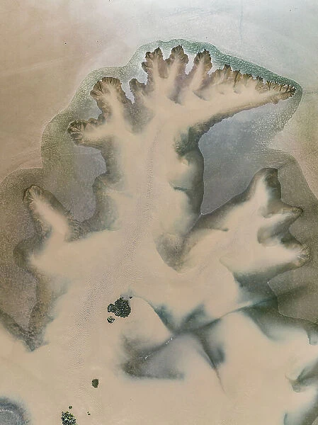 Drone image looking down on patterns formed by a tributary from the Fitzroy River, Derby, Western Australia, Australia
