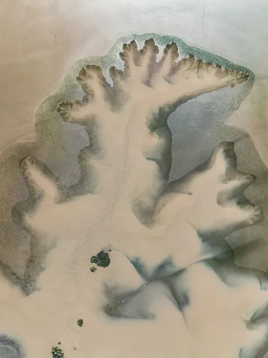 Framed Print : Drone image looking down on patterns formed by a tributary from the Fitzroy River, Derby, Western Australia, Australia Framed Print : Drone image looking down on patterns formed by a tributary from the Fitzroy River, Derby, Western Australia, Australia