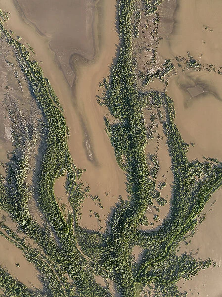 Drone image showing a tributary from the Fitzroy River, Derby, Western Australia, Australia