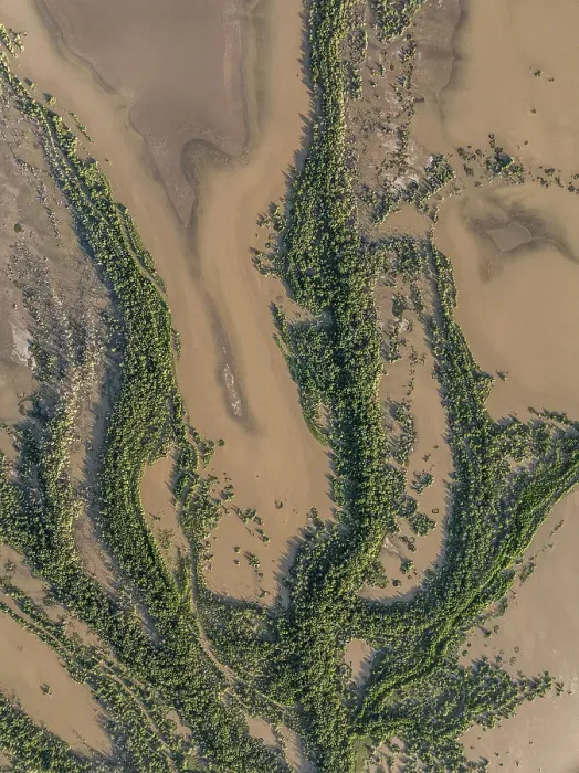 Framed Print : Drone image showing a tributary from the Fitzroy River, Derby, Western Australia, Australia Framed Print : Drone image showing a tributary from the Fitzroy River, Derby, Western Australia, Australia