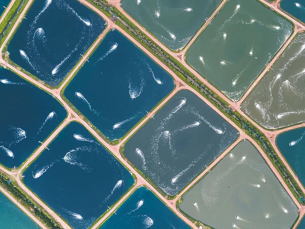 Drone perspective directly above aquaculture ponds, Queensland, Australia