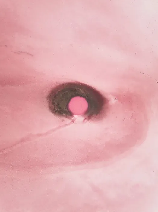 Framed Print : Drone photo looking down on a circular shape in a pink coloured salt lake, Lake Bumbunga, South Australia, Australia Framed Print : Drone photo looking down on a circular shape in a pink coloured salt lake, Lake Bumbunga, South Australia, Australia