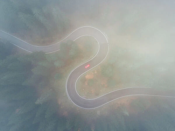 Drone shot through low cloud above a winding forest road, Dolomites, Italy