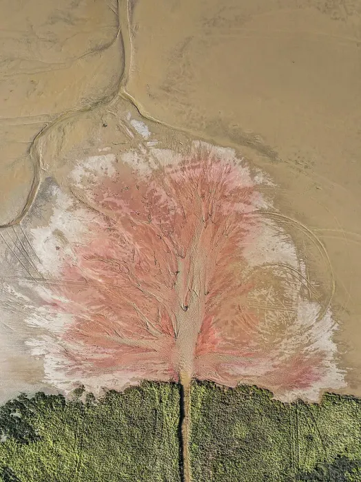 Framed Print : Drone shot showing an outflow of liquid into an estuary at low tide, Derby, Western Australia, Australia Framed Print : Drone shot showing an outflow of liquid into an estuary at low tide, Derby, Western Australia, Australia
