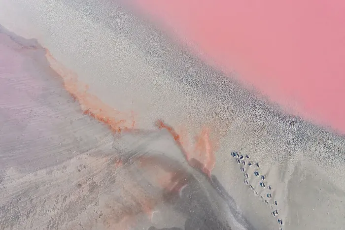 Framed Print : Drone view point of the pink shades of color, patterns and textures over Pink Lake waters with dark salty sandy soil
