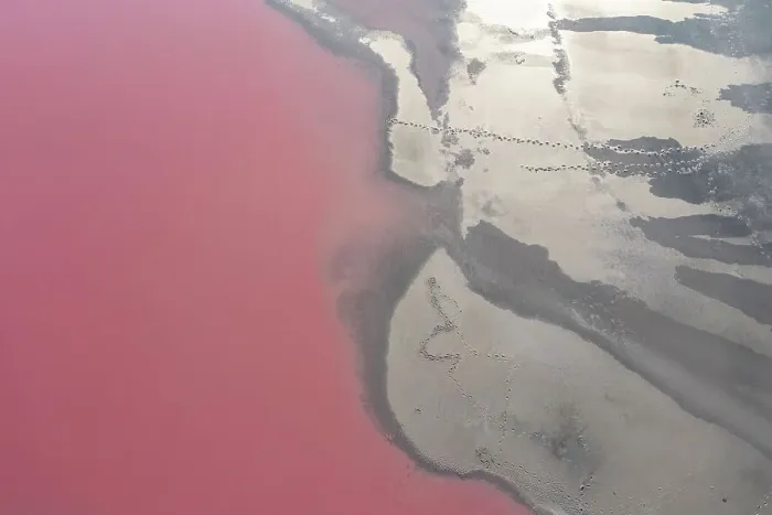 Framed Print : Drone view point of the pink shades of color, patterns and textures over Pink Lake waters with dark salty sandy soil Framed Print : Drone view point of the pink shades of color, patterns and textures over Pink Lake waters with dark salty sandy soil
