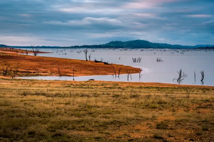Framed Print : Drowned trees at Lake Hume, Victoria Framed Print : Drowned trees at Lake Hume, Victoria