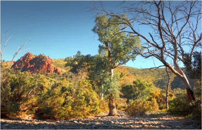 Framed Print : A dry creek bed in the remote region of Arkaroola, northern Flinders Ranges, South Australia