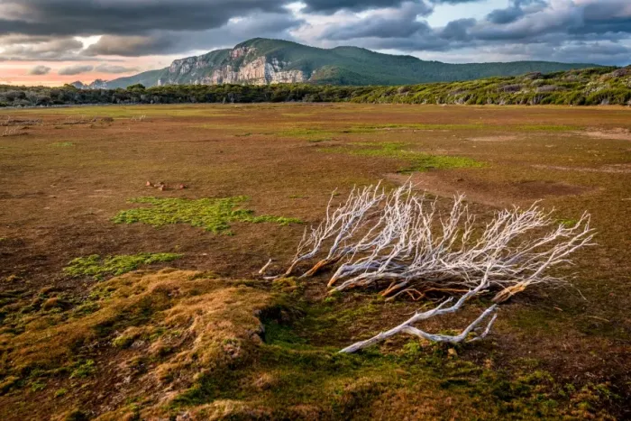 Framed Print : Dry pond at Cape Raoul, Tasman Peninsula, Tasmania
