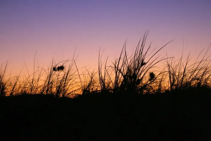 Framed Print : Dune silhouette with some gorgeous colours in the sky