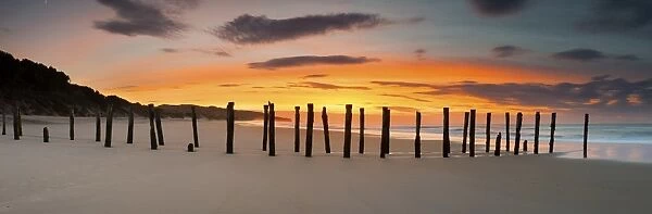 Dunedin St Clair Beach sunrise old jetty  /  Pier