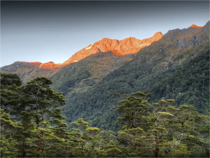 Framed Print : Dusk in the Clinton valley, south island, New Zealand