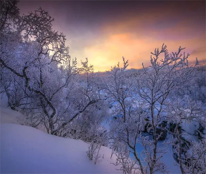 Framed Print : Dusk comes over a winter scene at Abisko National park in Lapland, Sweden