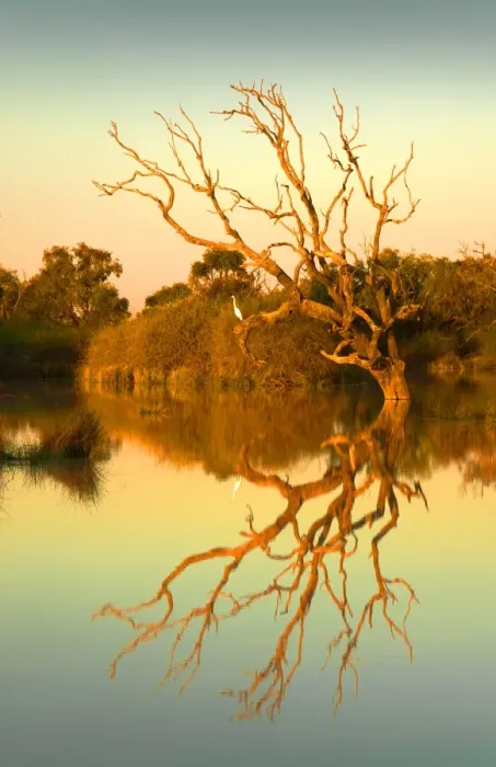 Framed Print : Dusk on the flooded lagoon at Birdsville, outback Queensland, Australia Framed Print : Dusk on the flooded lagoon at Birdsville, outback Queensland, Australia