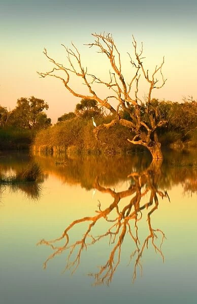 Dusk on the flooded lagoon at Birdsville, outback Queensland, Australia