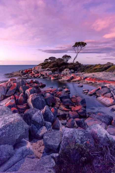 Framed Print : Dusk Moment at Binalong Bay Framed Print : Dusk Moment at Binalong Bay