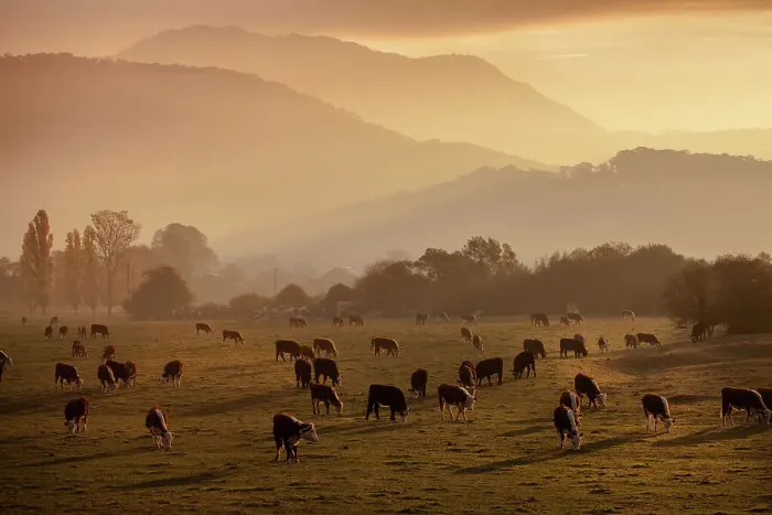 Framed Print : Dusk over the mountains