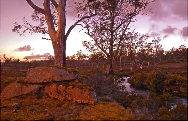 Dusk near the Iris River, Central highlands of Tasmania