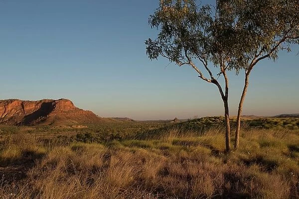 Dusk in the outback