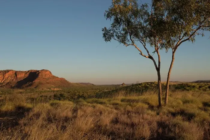 Framed Print : Dusk in the outback