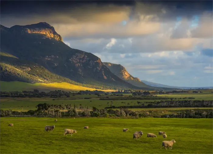 Framed Print : Dusk sweeps across the pastural land near Mount Strzelecki, Flinders Island, Bass Strait, Tasmania Framed Print : Dusk sweeps across the pastural land near Mount Strzelecki, Flinders Island, Bass Strait, Tasmania