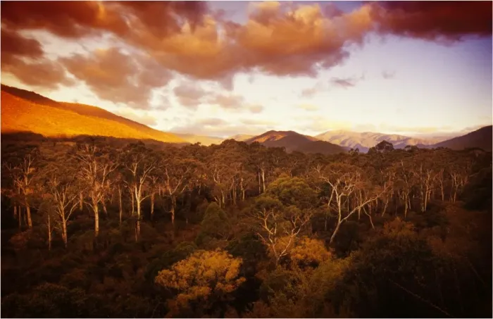 Framed Print : Dusk and the view towards Mount Feathertop, the Alpine area of Victoria, Australia