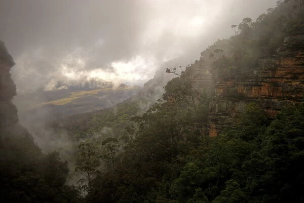 Early morning Blue mountains in dense fog