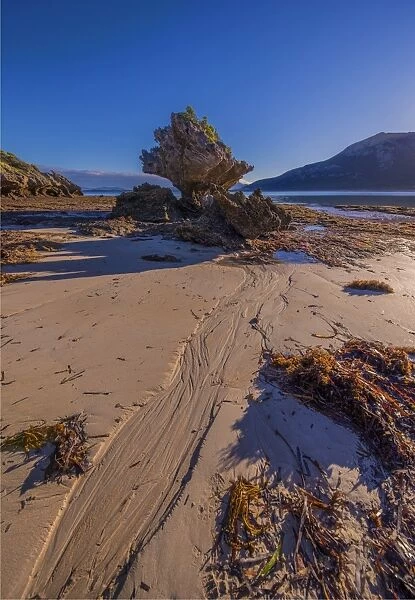 Early morning just after dawn at Fotheringate beach, Flinders Island, Bass Strait, Tasmania, Australia
